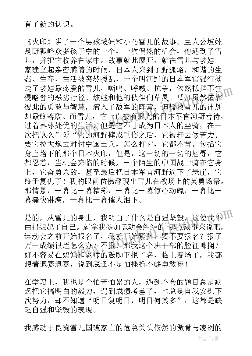 2023年火印的读后感(模板7篇)