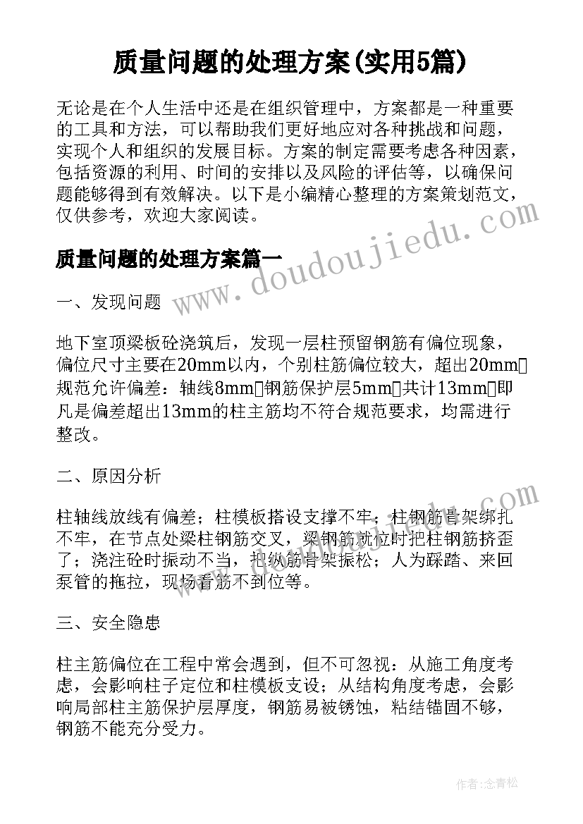 质量问题的处理方案(实用5篇)