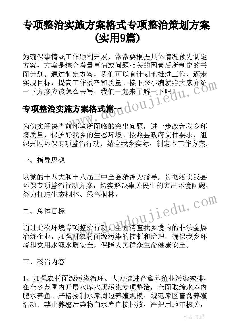 专项整治实施方案格式 专项整治策划方案(实用9篇)