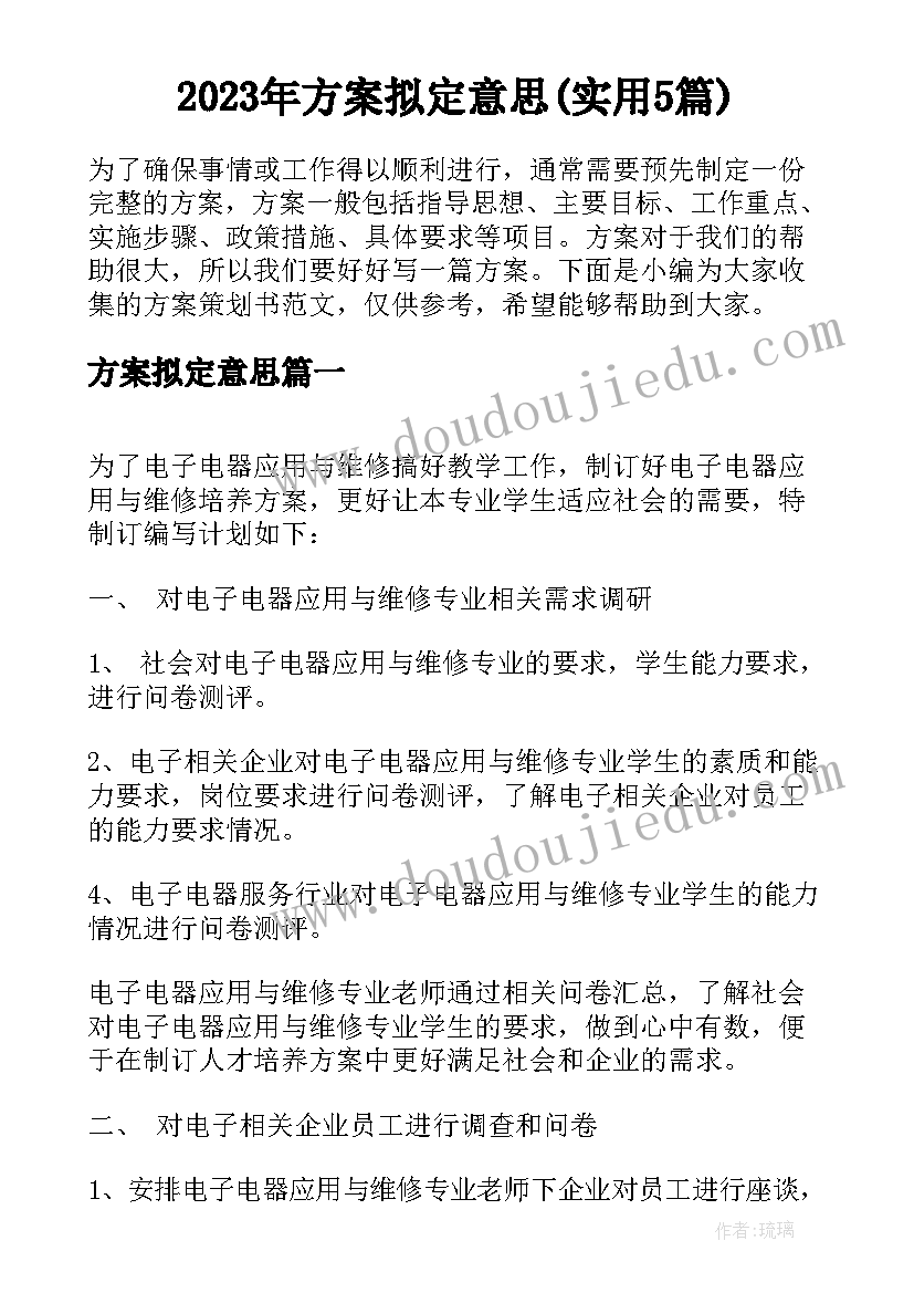 2023年方案拟定意思(实用5篇)