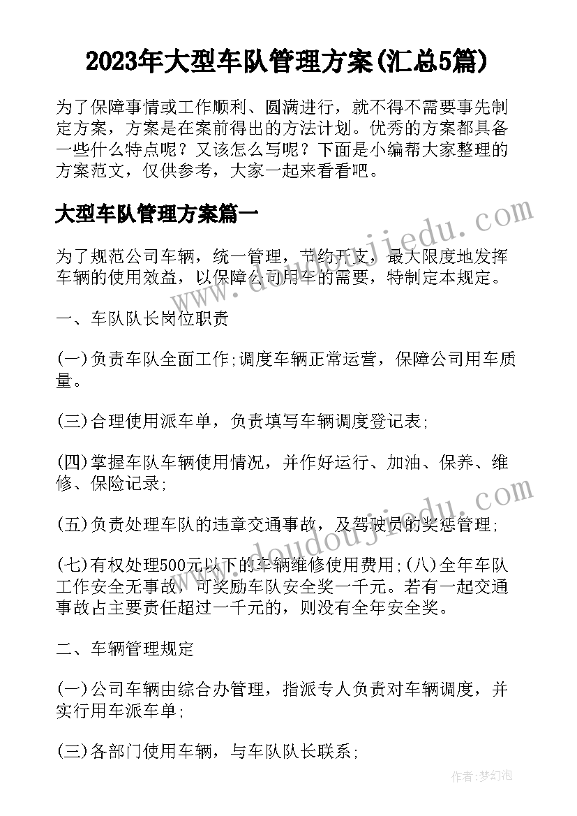 2023年大型车队管理方案(汇总5篇)