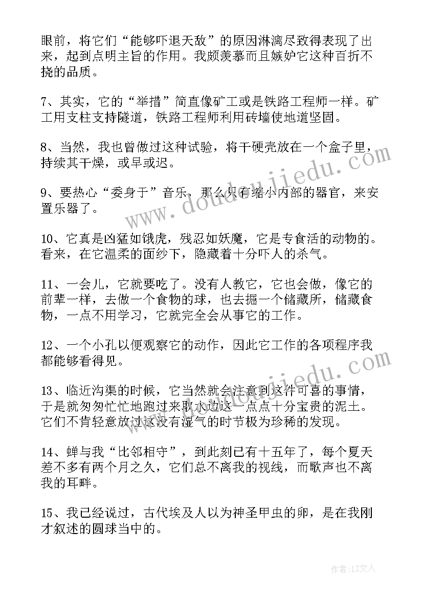 2023年读苏轼有感 柴静看见读书笔记摘抄级读后感赏析(大全8篇)