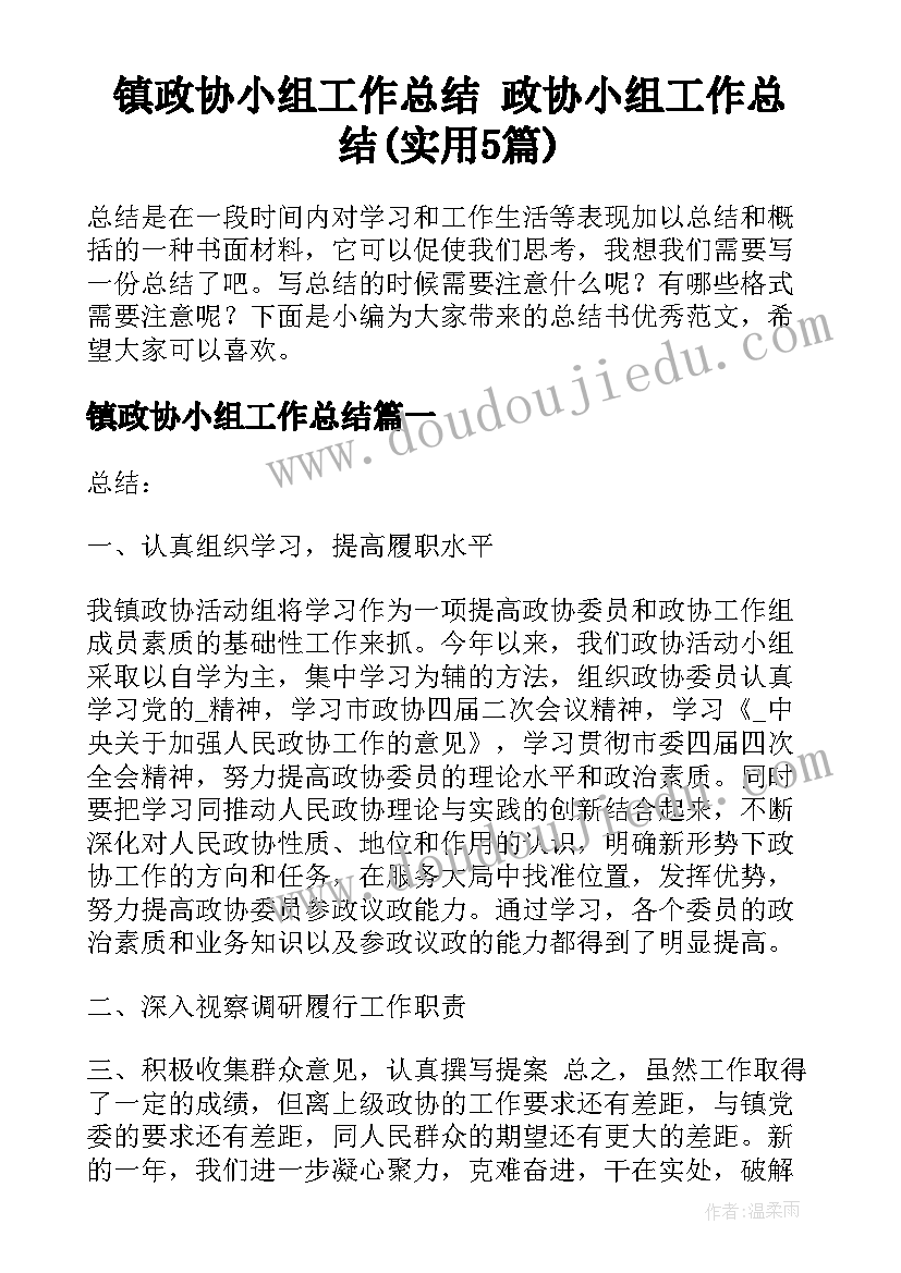 镇政协小组工作总结 政协小组工作总结(实用5篇)