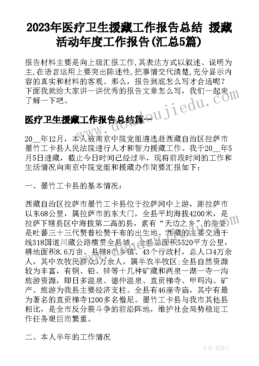 2023年医疗卫生援藏工作报告总结 援藏活动年度工作报告(汇总5篇)