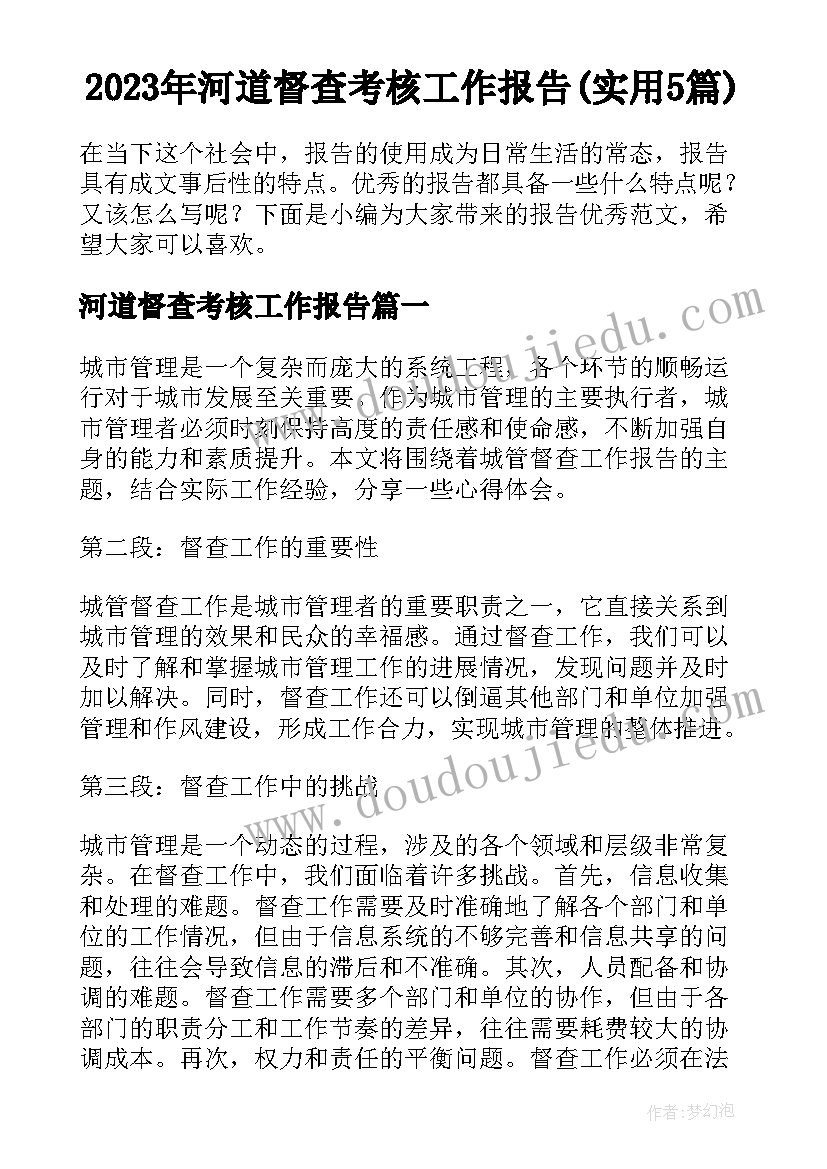 2023年河道督查考核工作报告(实用5篇)