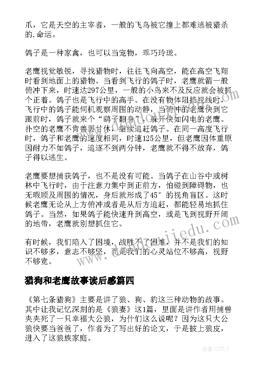 猎狗和老鹰故事读后感 老猎狗读后感老猎狗的故事寓意(优质5篇)