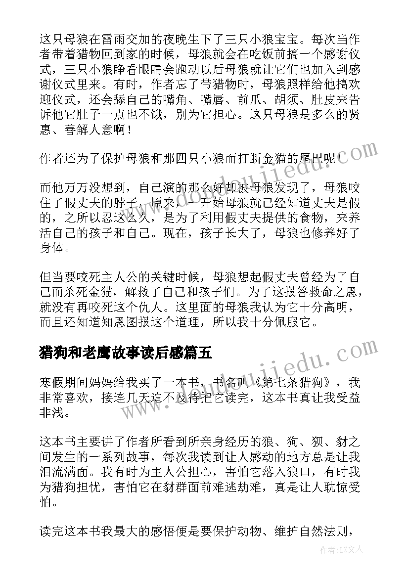 猎狗和老鹰故事读后感 老猎狗读后感老猎狗的故事寓意(优质5篇)