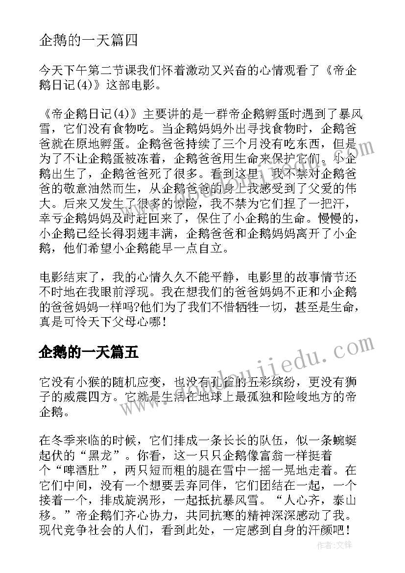 最新企鹅的一天 帝企鹅日记读后感(通用5篇)