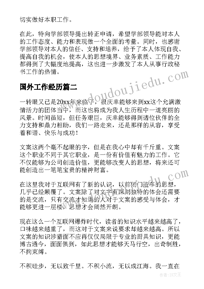 最新国外工作经历 文案转正的工作总结(优秀10篇)