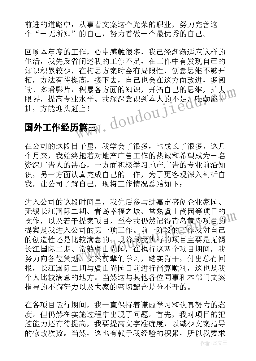 最新国外工作经历 文案转正的工作总结(优秀10篇)