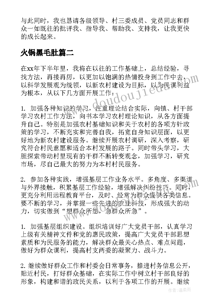 2023年火锅黑毛肚 大学生村官个人工作计划(优质6篇)