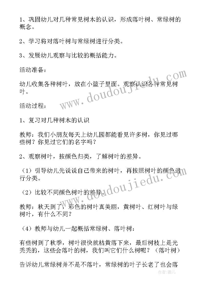 2023年中班科学车的作用与交通安全 中班科学教案及教学反思(大全7篇)