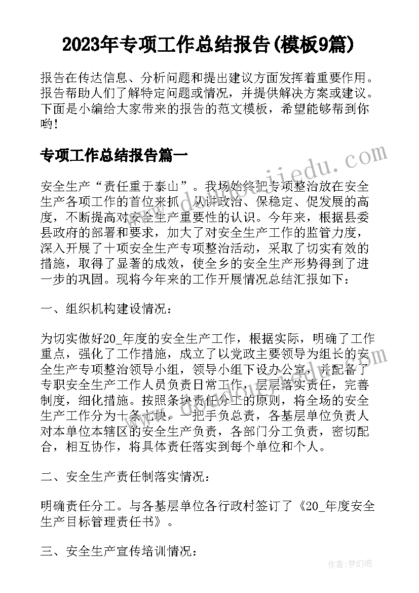 2023年专项工作总结报告(模板9篇)