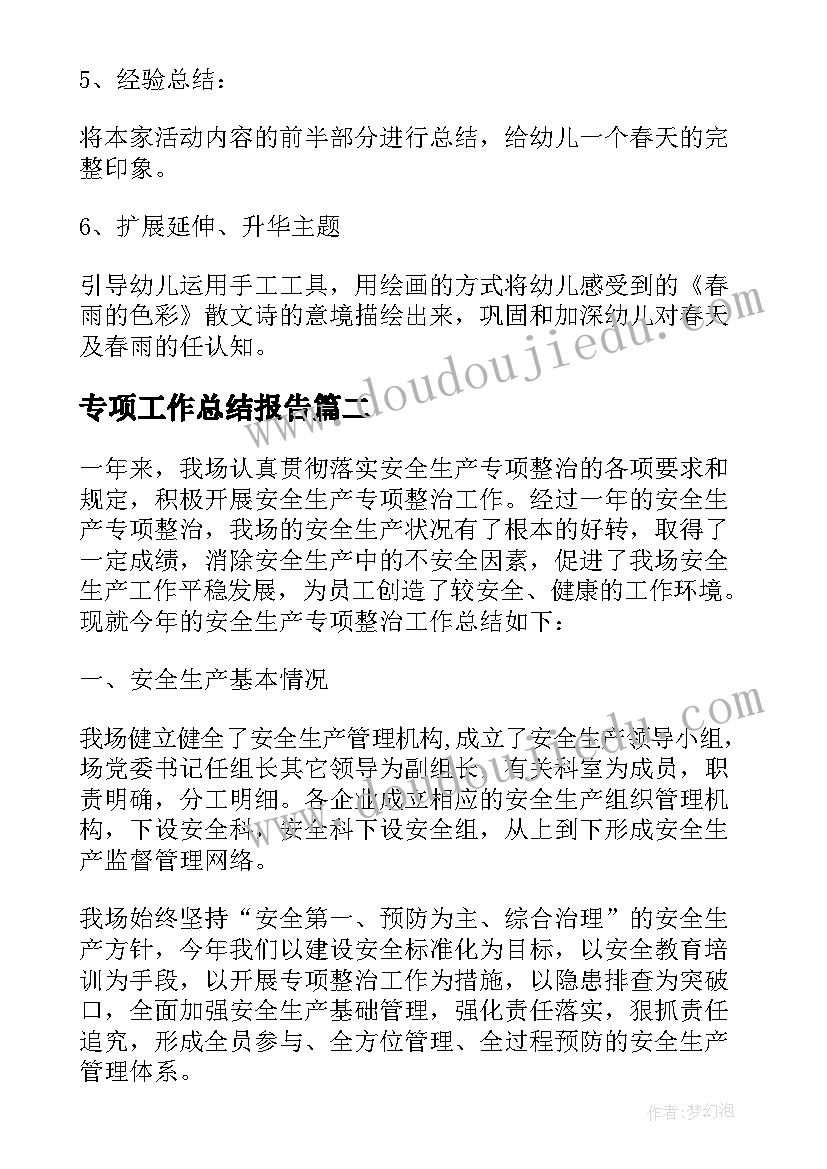 2023年专项工作总结报告(模板9篇)