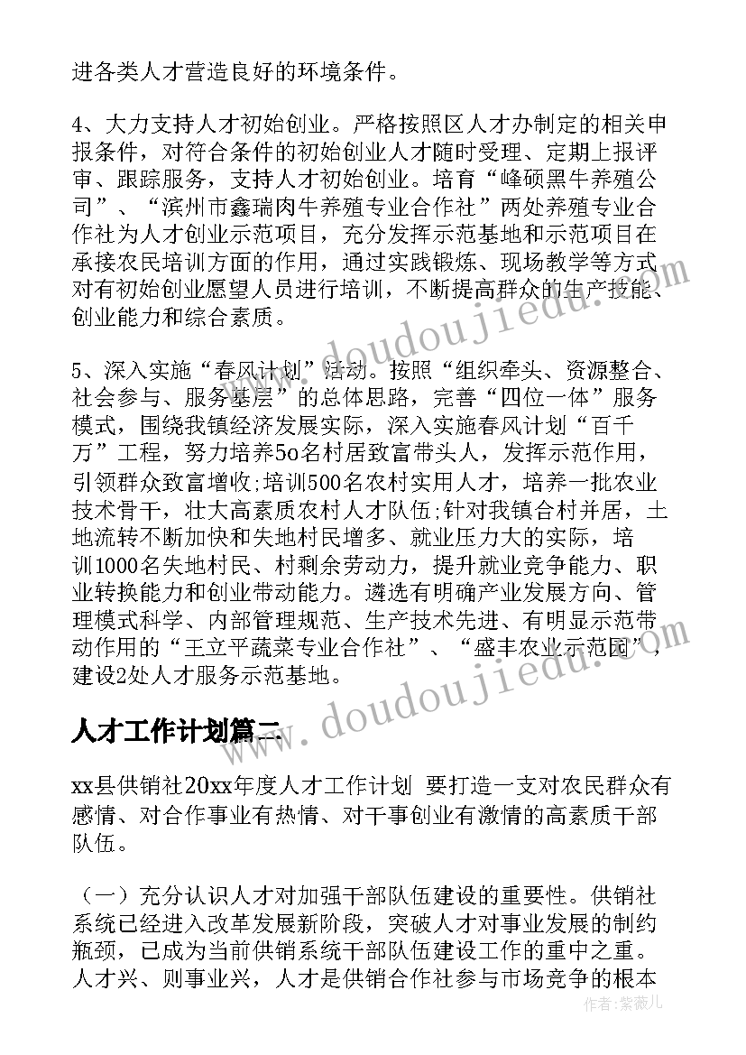 最新人才工作计划(优秀7篇)