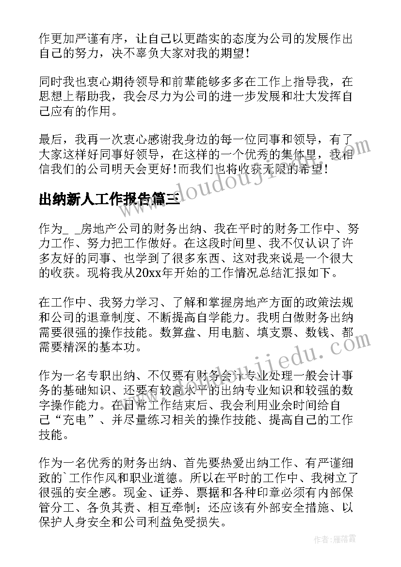 2023年出纳新人工作报告 出纳年度工作总结(汇总5篇)