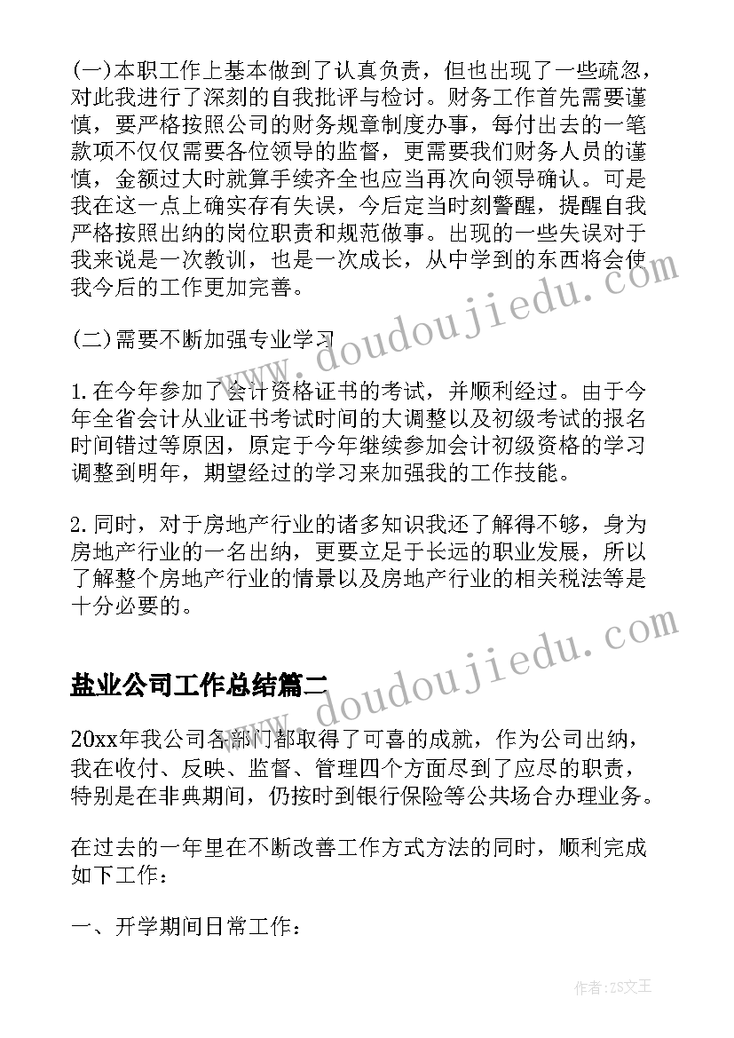 2023年盐业公司工作总结 公司出纳人员试用期工作总结(优质8篇)