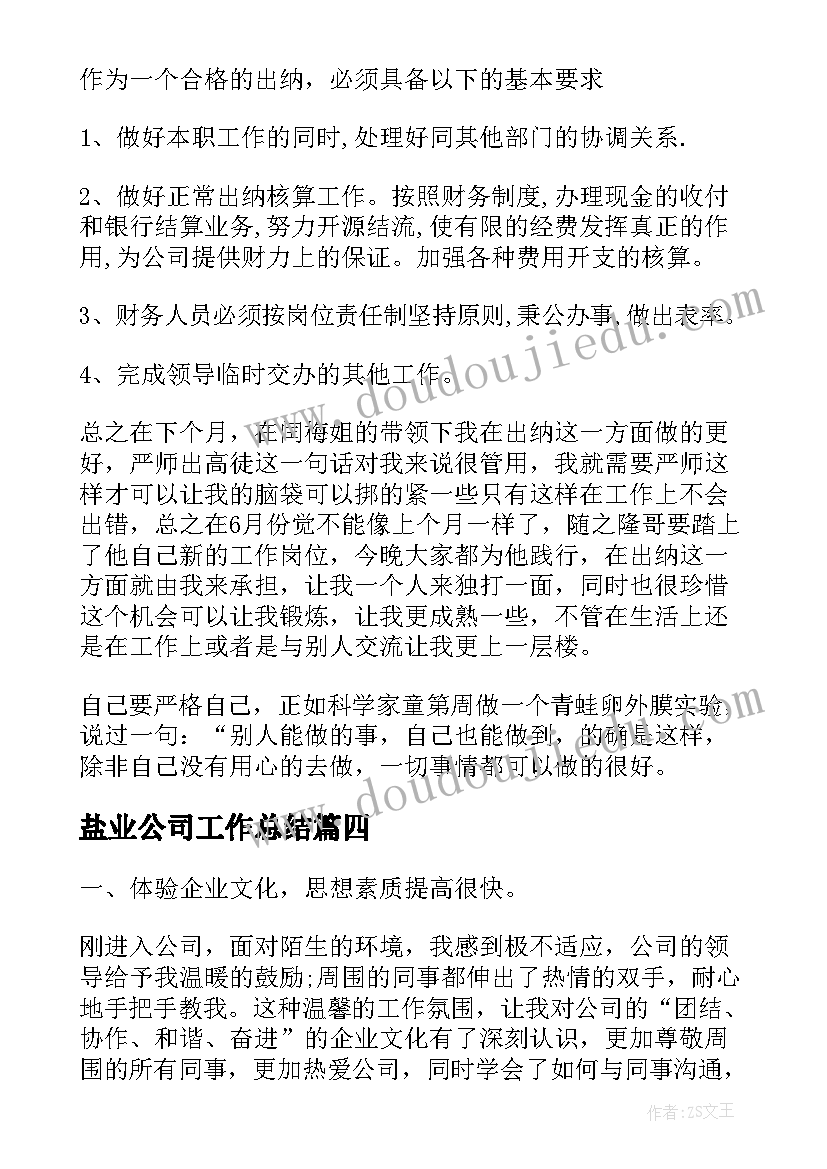 2023年盐业公司工作总结 公司出纳人员试用期工作总结(优质8篇)