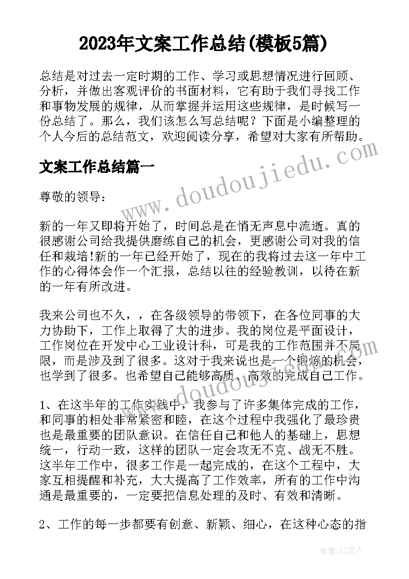 2023年文案工作总结(模板5篇)