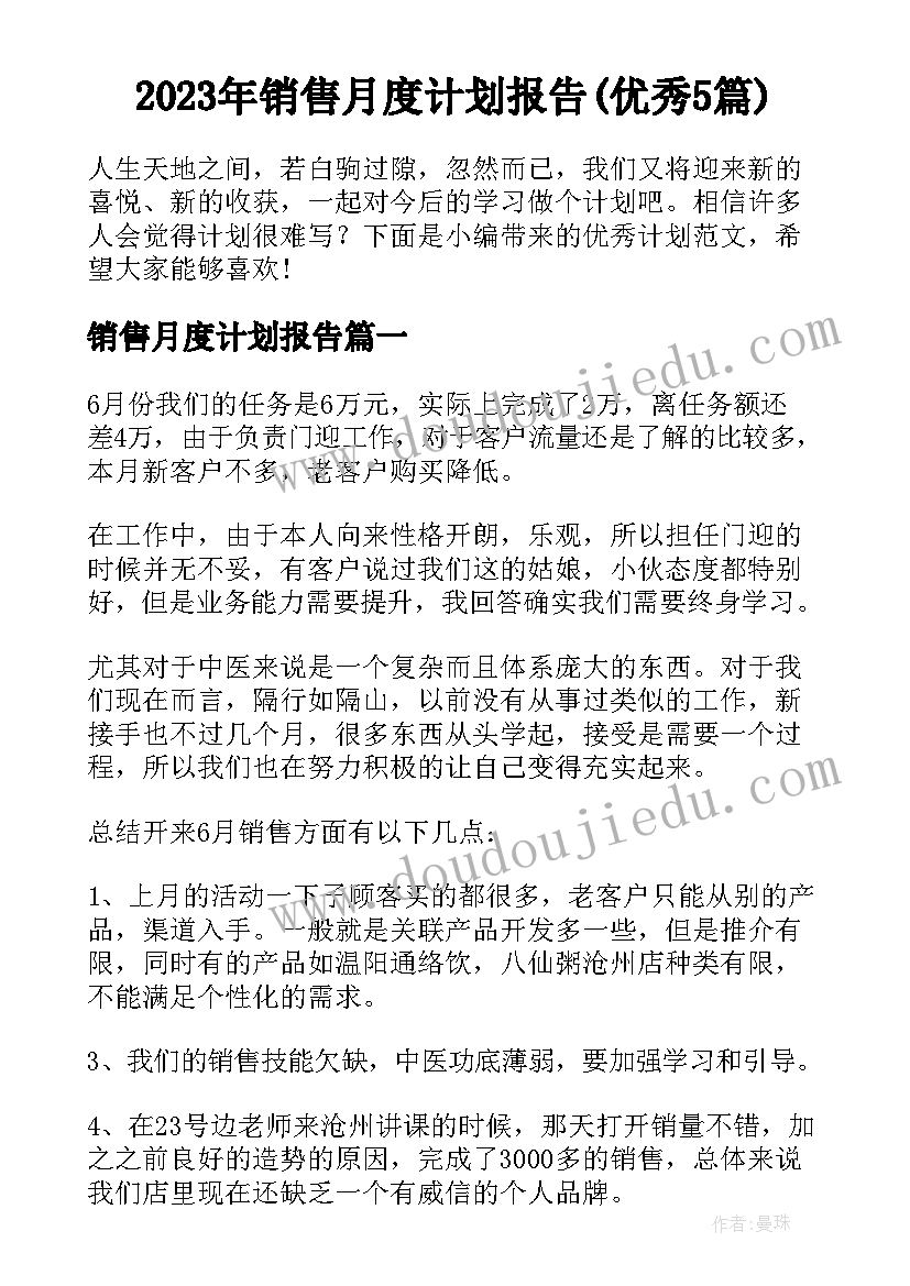 2023年销售月度计划报告(优秀5篇)