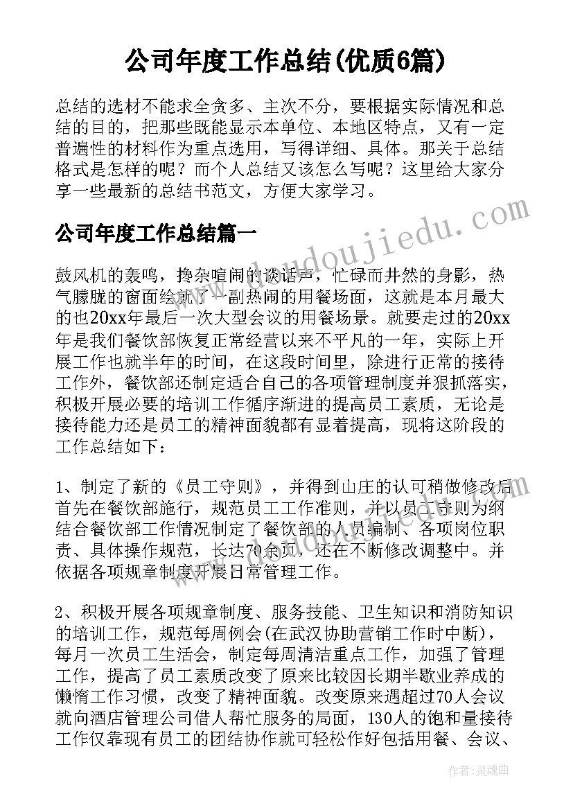 公司年度工作总结(优质6篇)