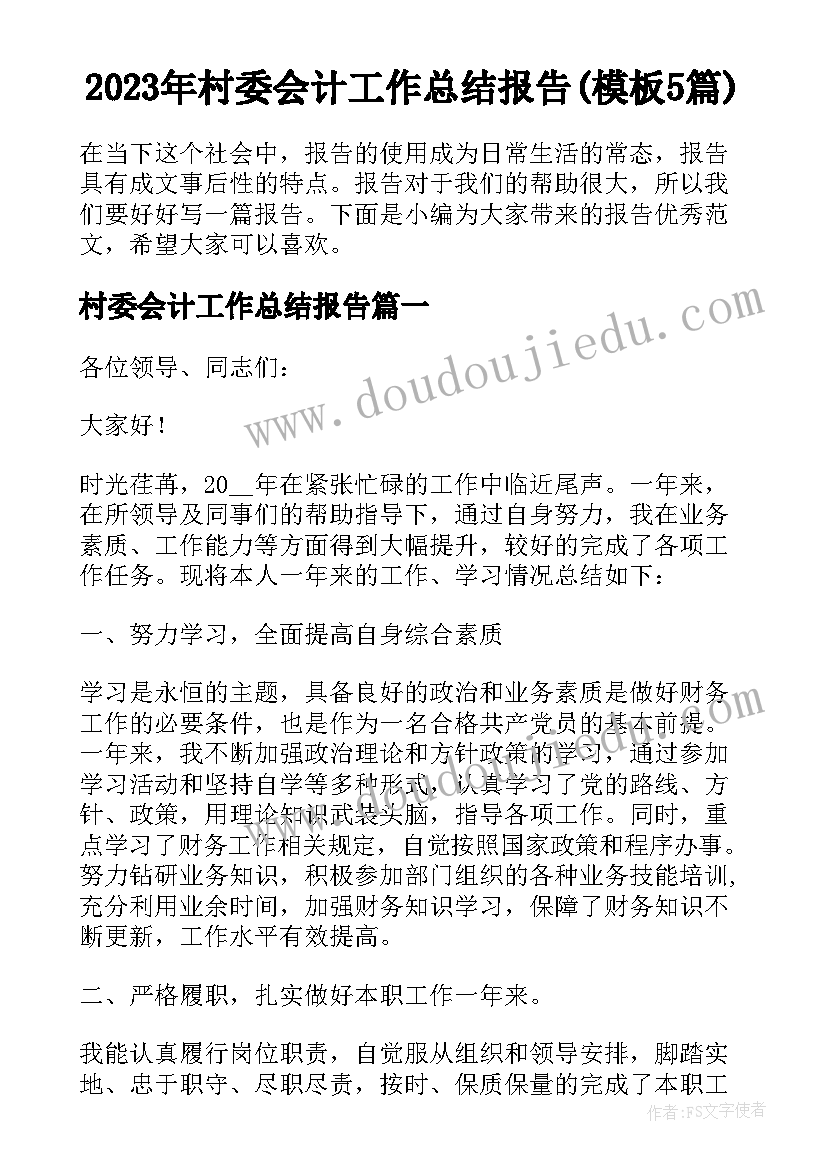 2023年村委会计工作总结报告(模板5篇)