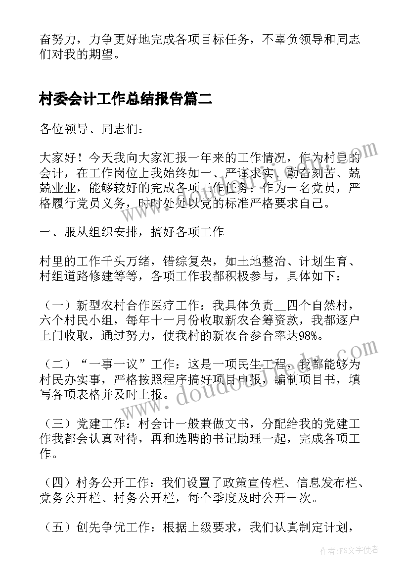 2023年村委会计工作总结报告(模板5篇)