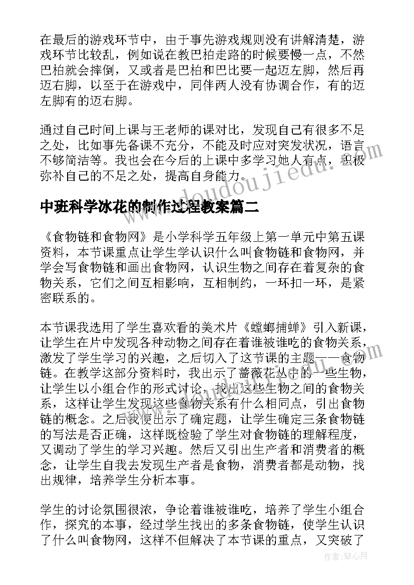 中班科学冰花的制作过程教案 科学教学反思(模板6篇)