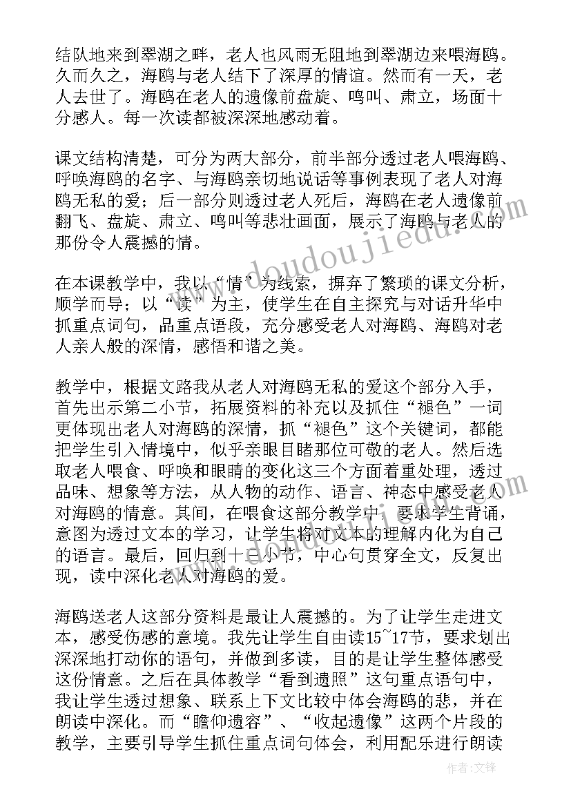 老人与海鸥教学反思(精选7篇)