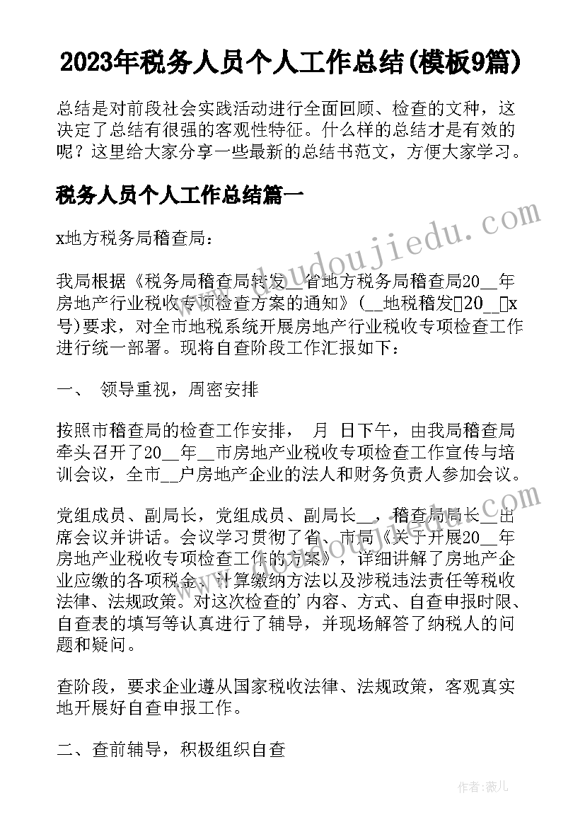 2023年税务人员个人工作总结(模板9篇)