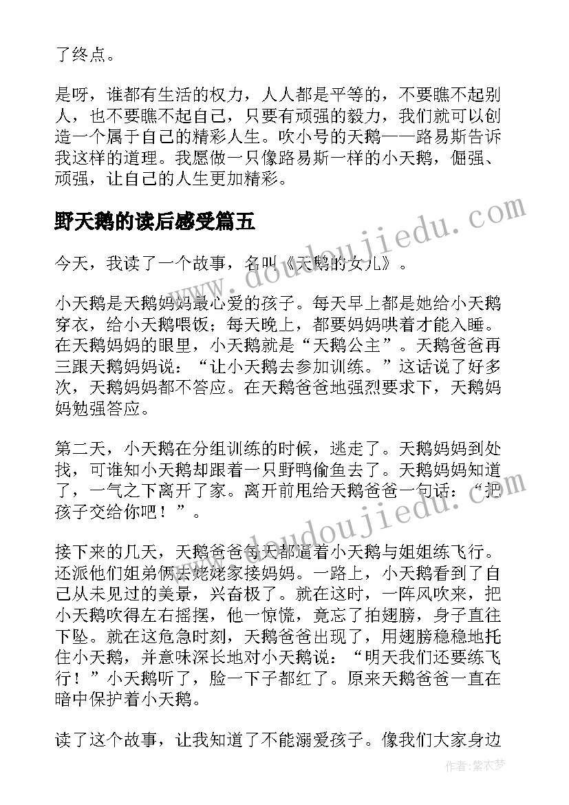 最新野天鹅的读后感受(优质9篇)