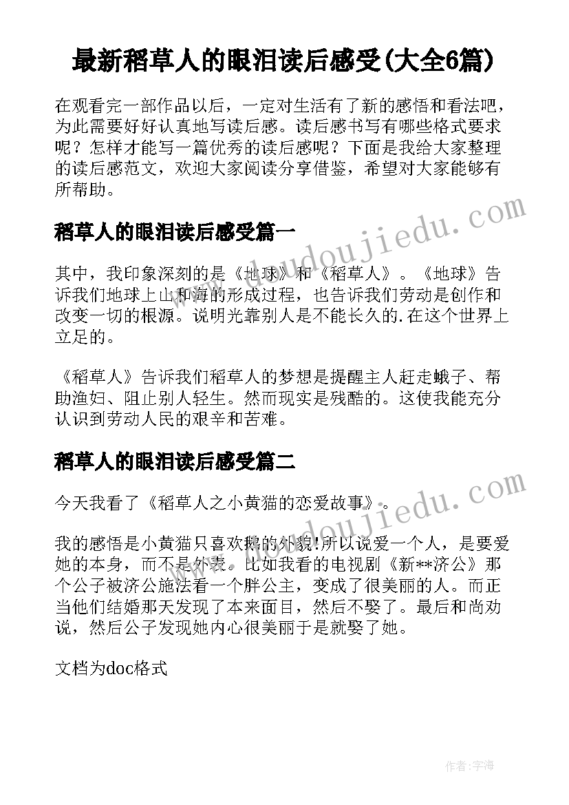 最新稻草人的眼泪读后感受(大全6篇)