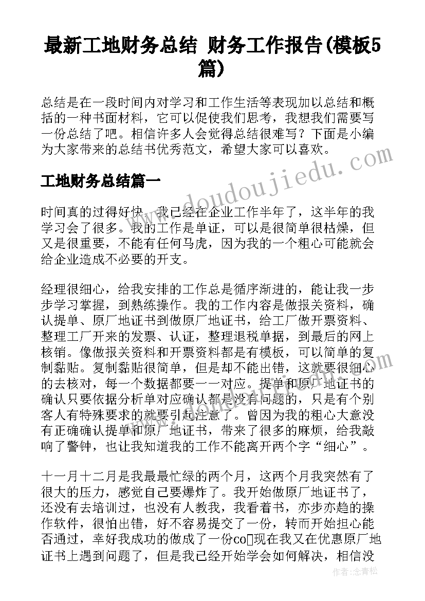 最新工地财务总结 财务工作报告(模板5篇)