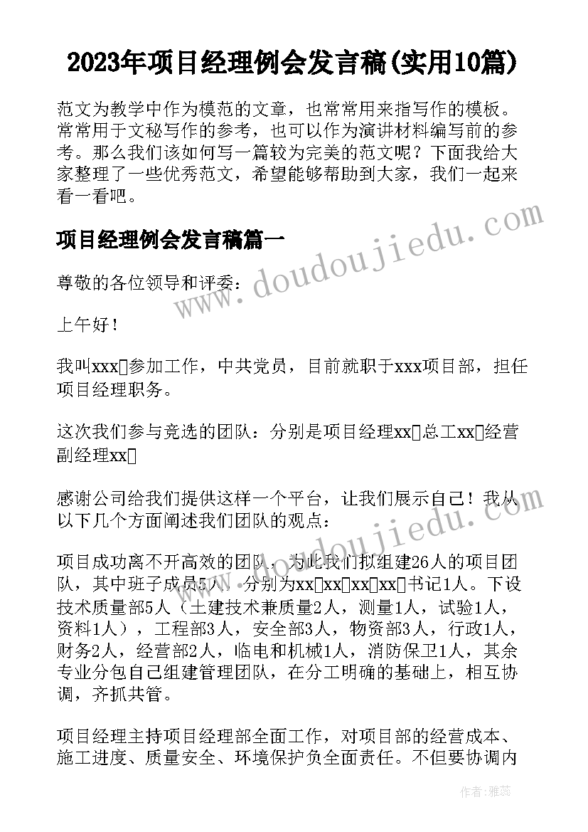 2023年项目经理例会发言稿(实用10篇)