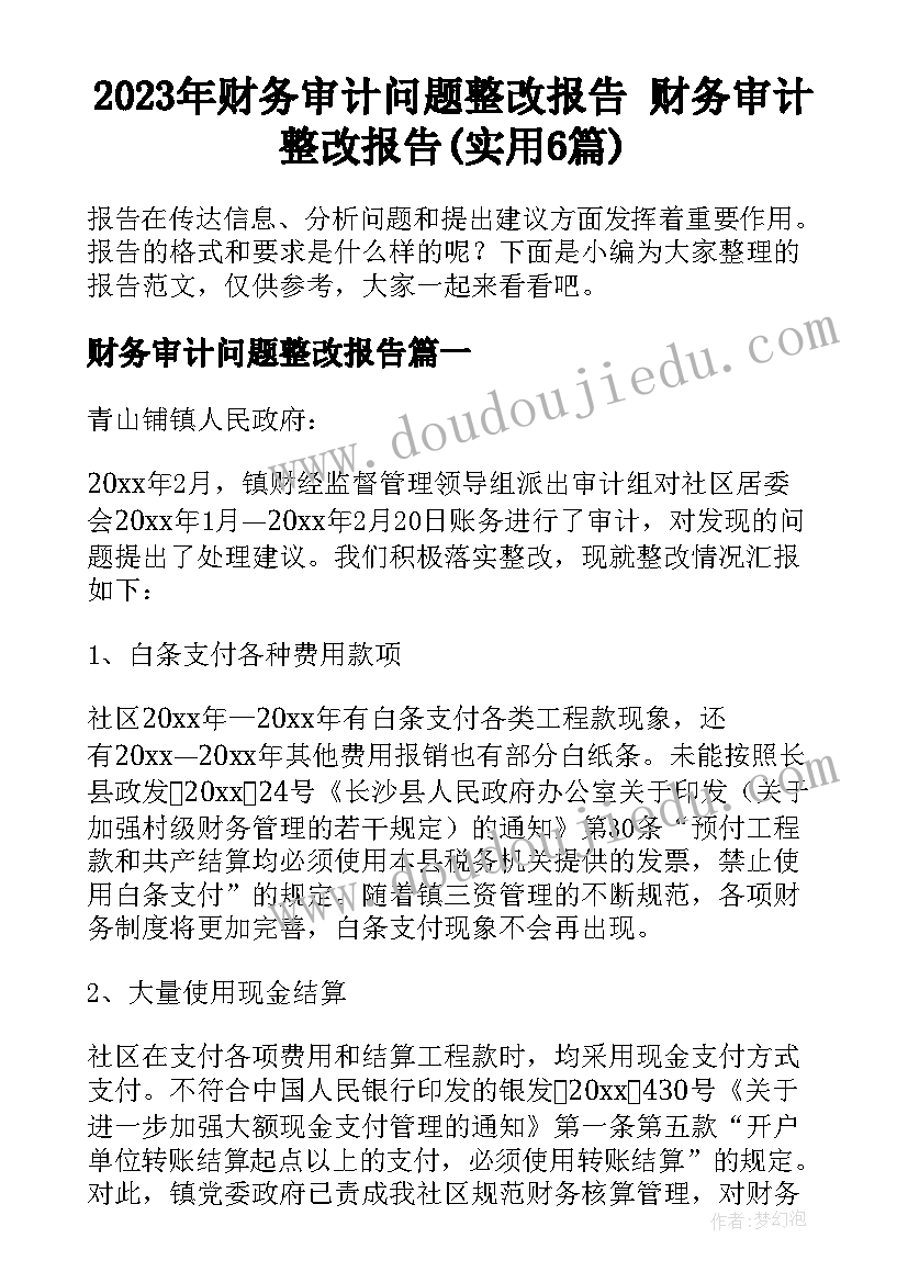 2023年财务审计问题整改报告 财务审计整改报告(实用6篇)