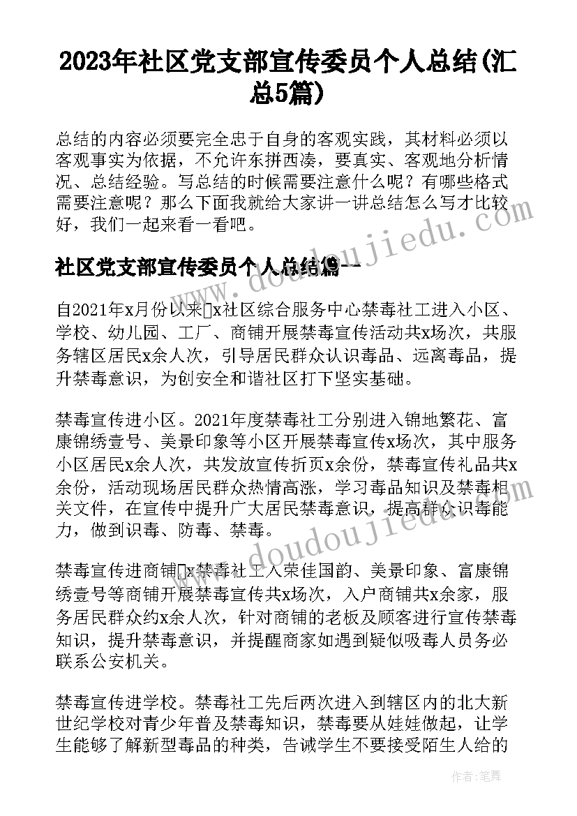 2023年社区党支部宣传委员个人总结(汇总5篇)