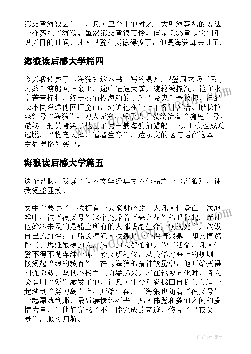 海狼读后感大学 海狼的读后感(通用5篇)