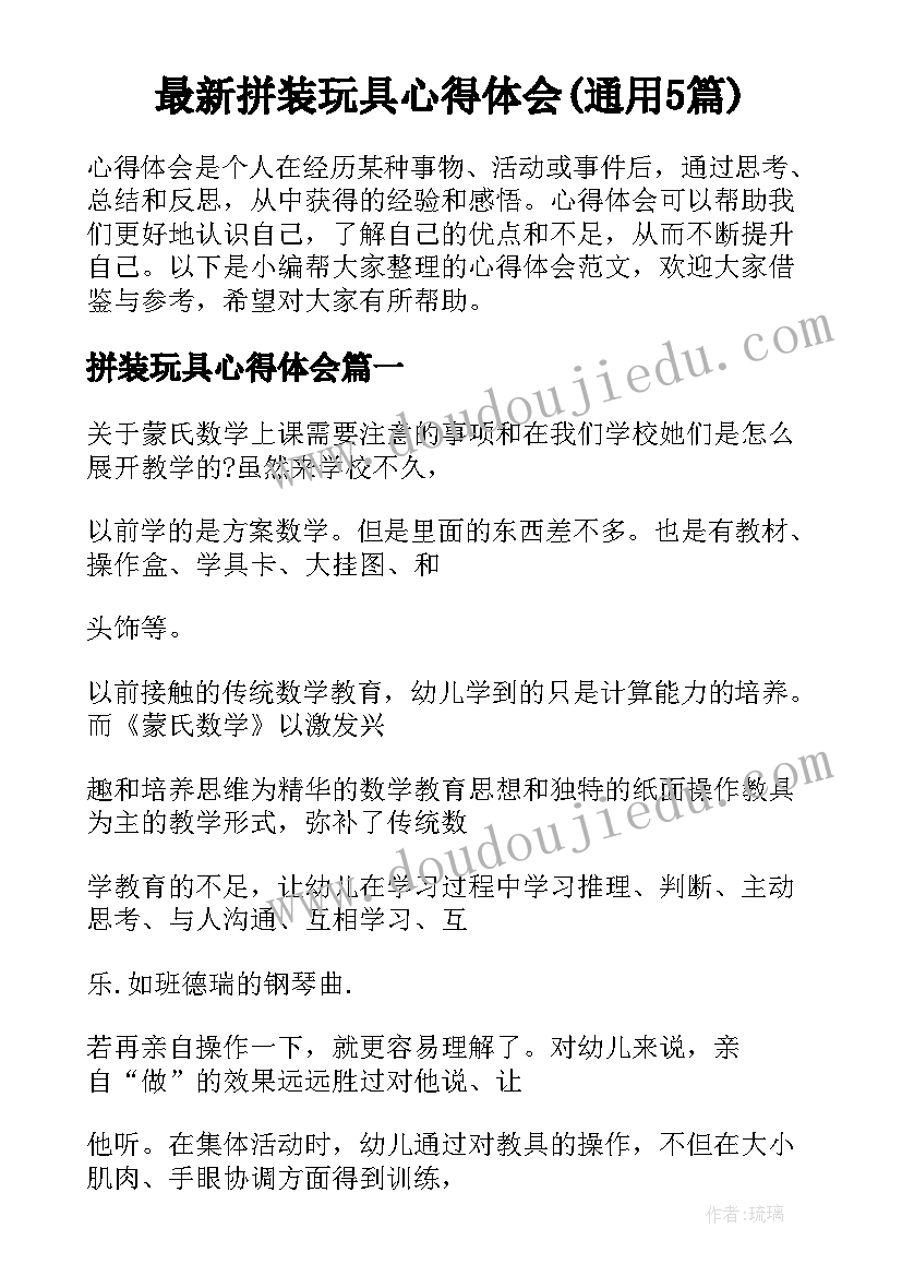 最新拼装玩具心得体会(通用5篇)