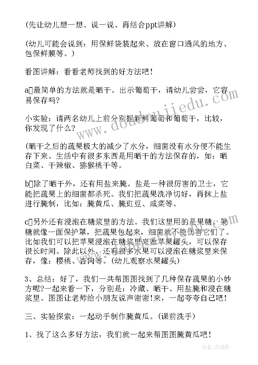 2023年幼儿园中班美术活动教案(汇总5篇)