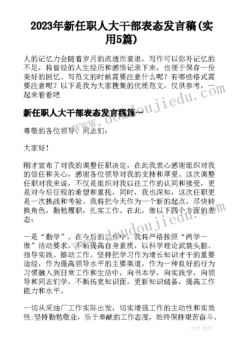 2023年新任职人大干部表态发言稿(实用5篇)