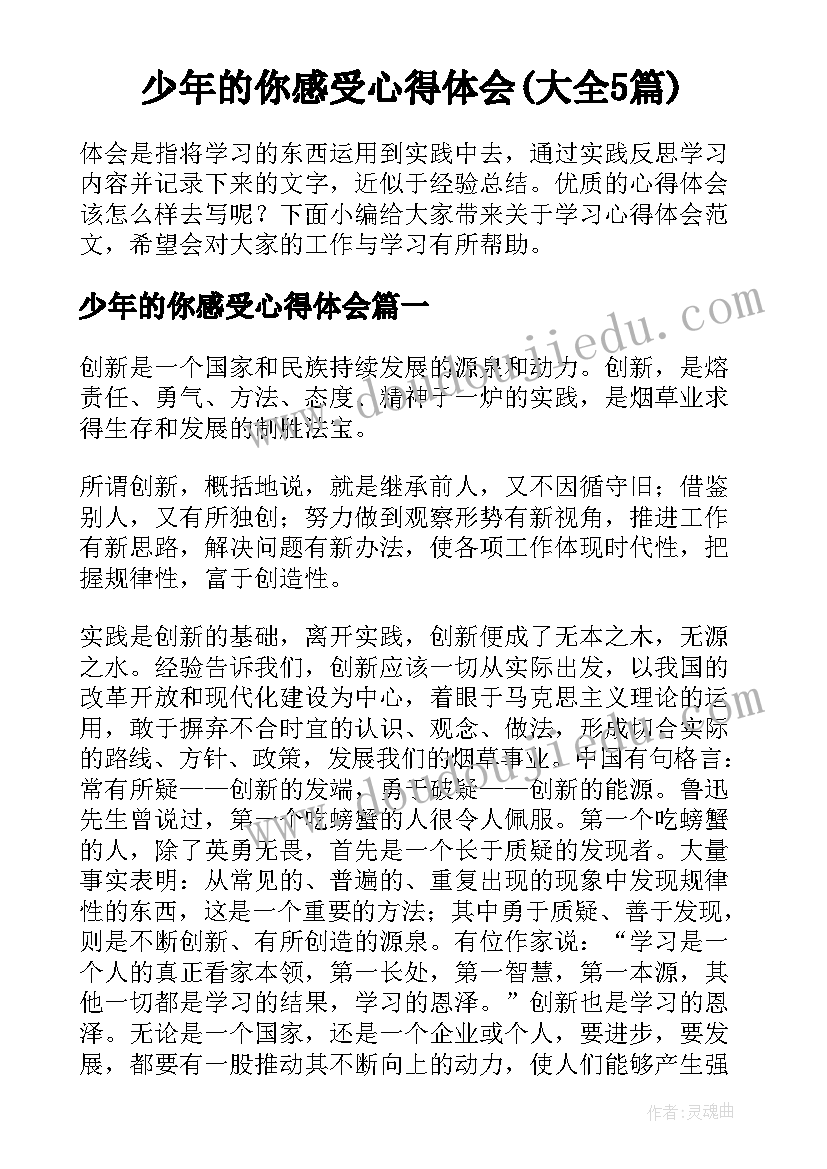 少年的你感受心得体会(大全5篇)