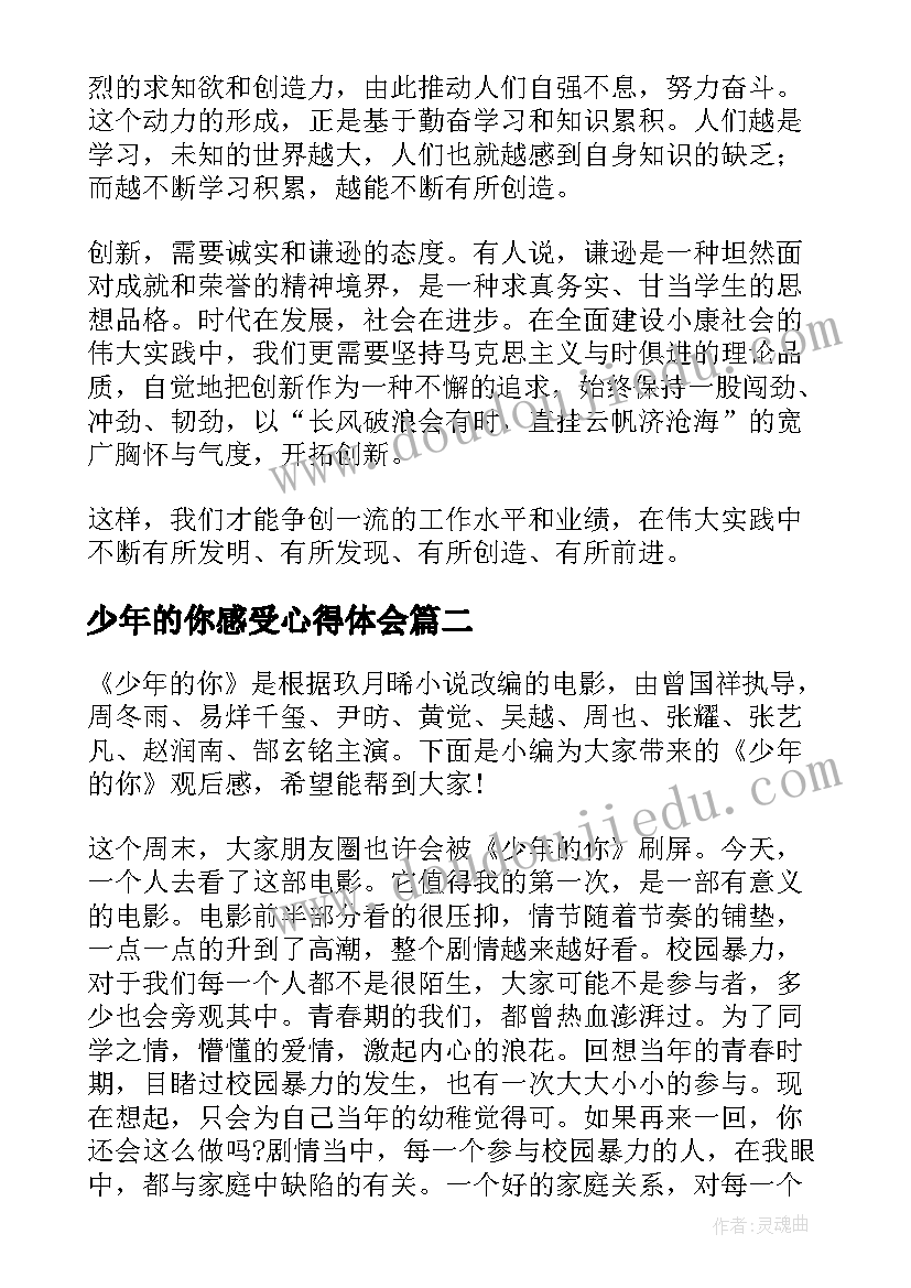 少年的你感受心得体会(大全5篇)