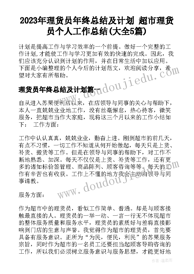 2023年理货员年终总结及计划 超市理货员个人工作总结(大全5篇)