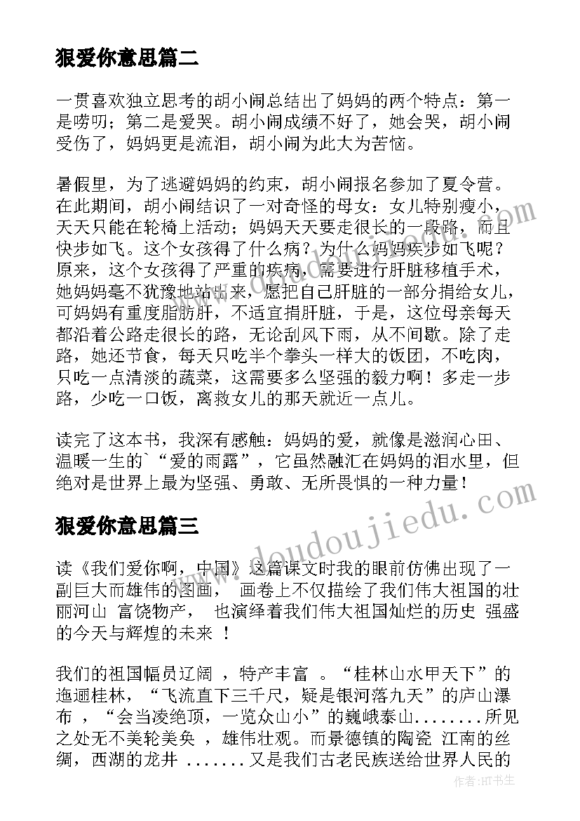 2023年狠爱你意思 我爱你汉字读后感(精选7篇)