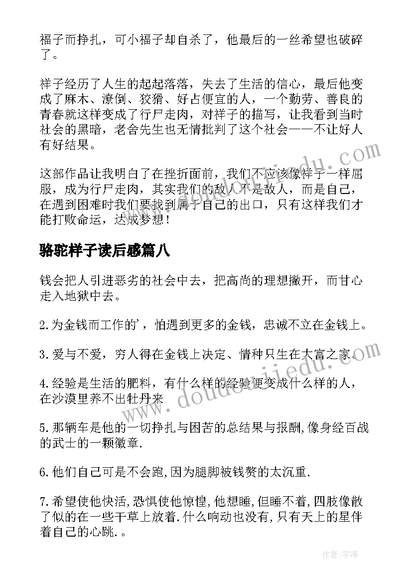 2023年骆驼样子读后感 找骆驼读后感(实用9篇)