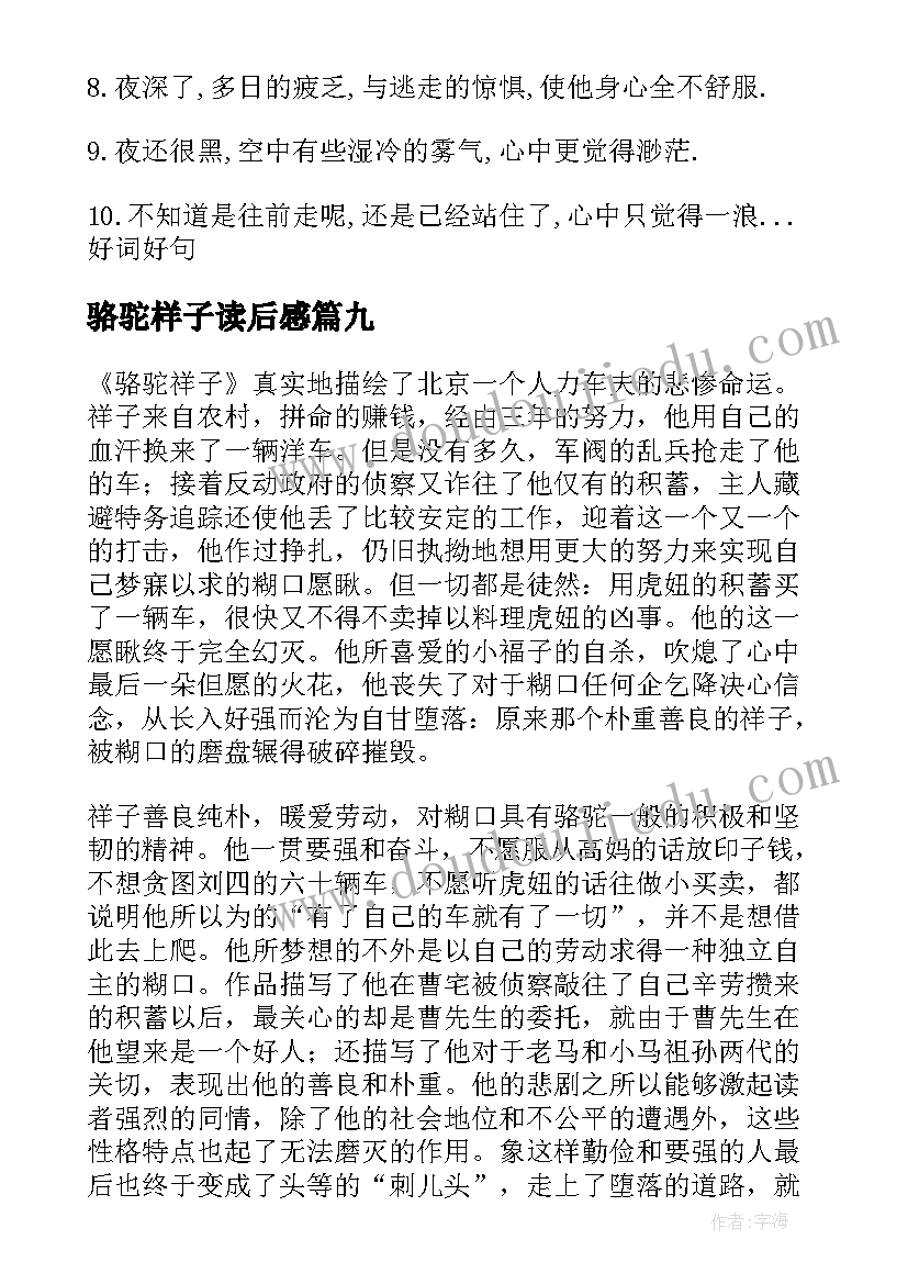 2023年骆驼样子读后感 找骆驼读后感(实用9篇)