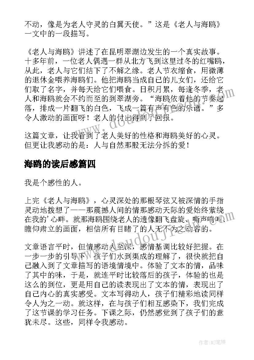 海鸥的读后感(汇总10篇)