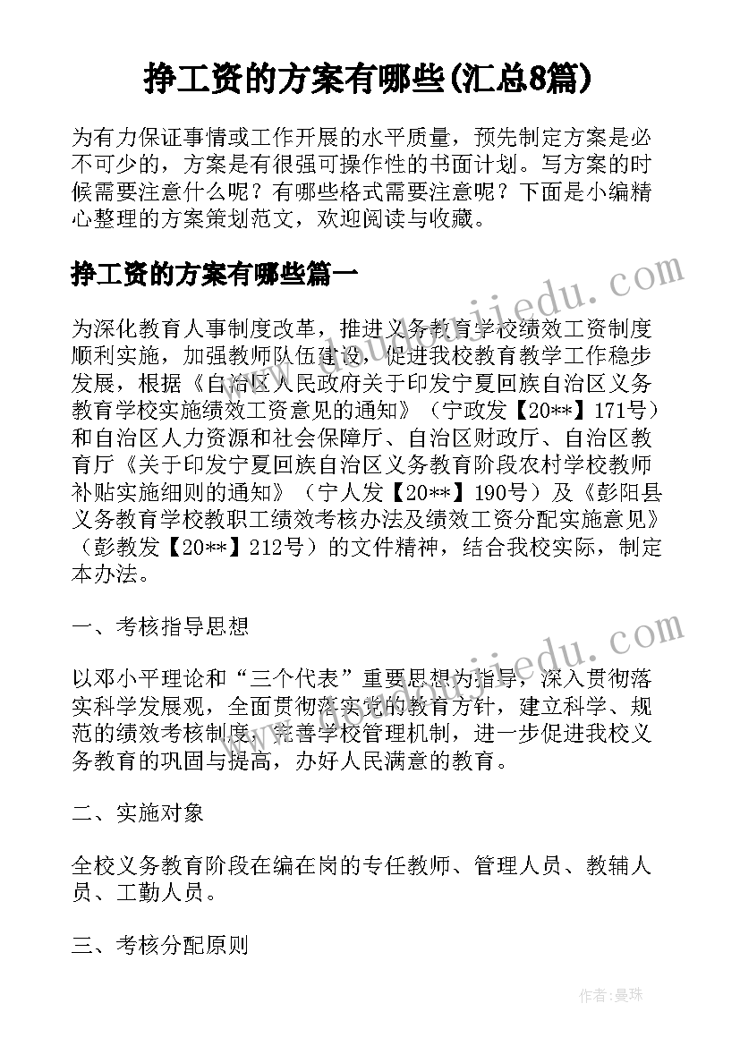 挣工资的方案有哪些(汇总8篇)