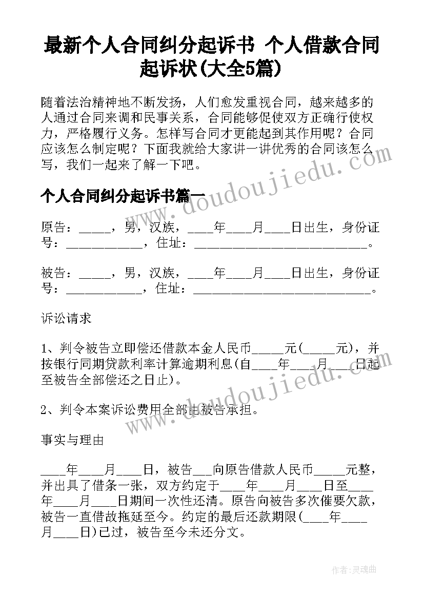 最新个人合同纠分起诉书 个人借款合同起诉状(大全5篇)