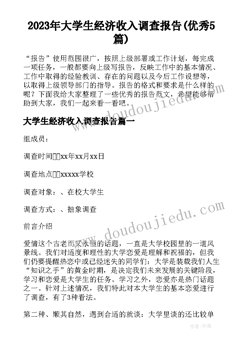 2023年大学生经济收入调查报告(优秀5篇)